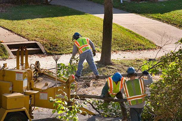 Best Arborist Consultation Services  in Legend Lake, WI